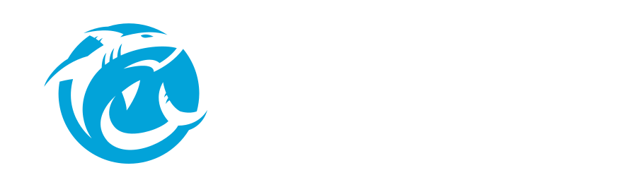 Oceans