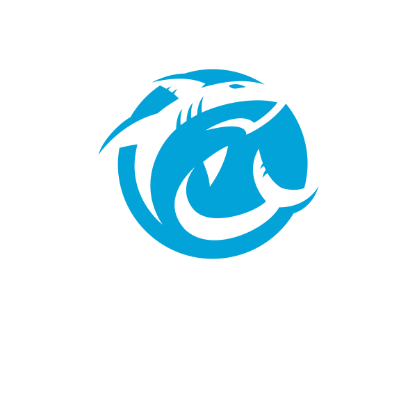 Oceans